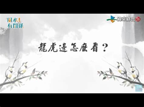 如何分辨龍虎邊|【風水裡龍虎抱】掌握龍虎雙邊三大風水原則 